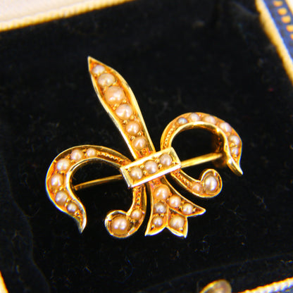 Antique 14 Carat Fleur De Lis Edwardian Pendant Brooch Fine Jewellery Boxed Gift