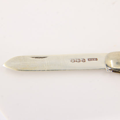 Antique Sterling Silver Hallmarked Mother Pearl Floral Inlay Folding Fruit Knife 1921