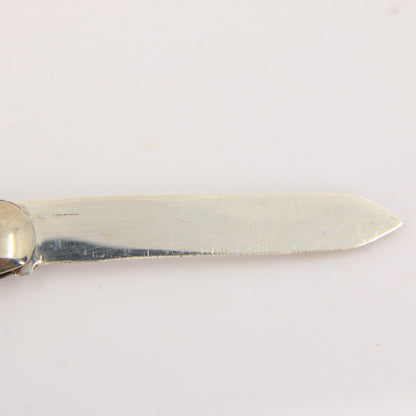 Antique Sterling Silver Hallmarked Mother Pearl Floral Inlay Folding Fruit Knife 1921